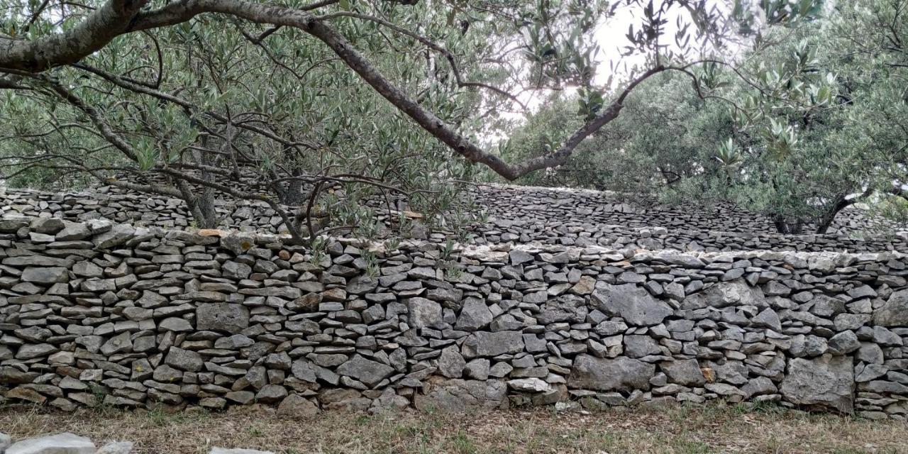 벨라루카 House On Punta 빌라 외부 사진